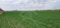 Продава ПАРЦЕЛ, град Пловдив, Коматево • 105000 € / 205362.15 лв. • 33261041 1