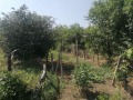 Продава ПАРЦЕЛ, град Пловдив, Коматево • 690000 € • 29057791 — Holmes.bg