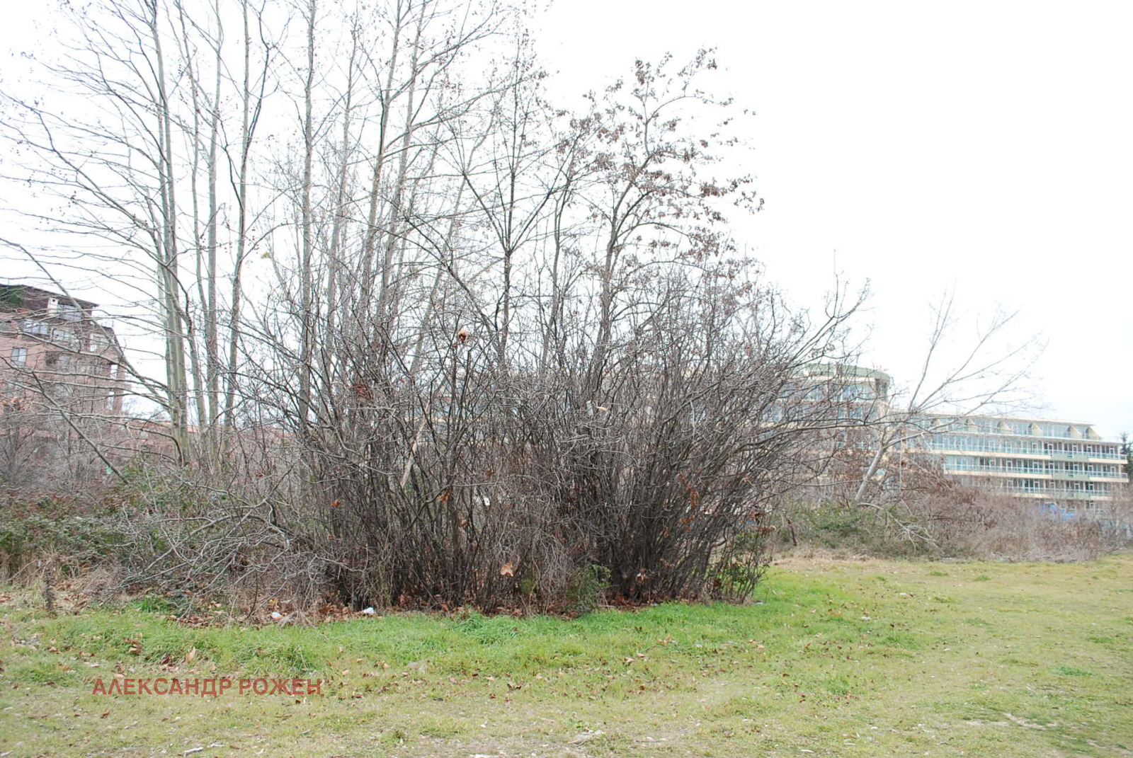 Продава ПАРЦЕЛ | Imot.bg — изображение 7