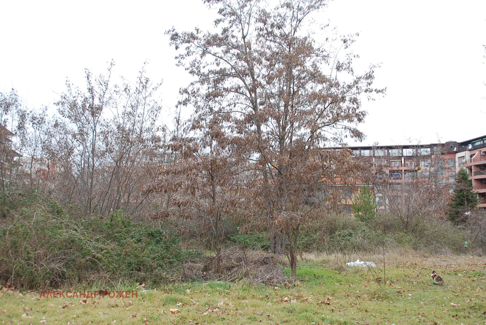 Продава ПАРЦЕЛ | Imot.bg — изображение 5