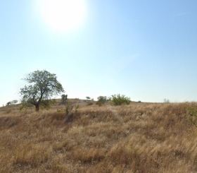 Парцел гр. Поморие, област Бургас 1