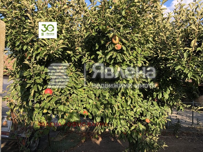 Satılık  Ev bölge Dobriç , Vidno , 150 metrekare | 18821630 - görüntü [7]