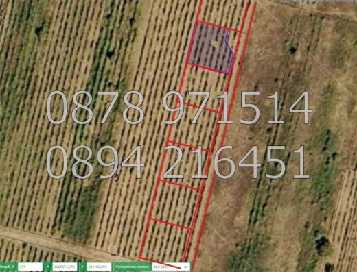Na sprzedaż  Działka region Płowdiw , Parwenec , 700 mkw | 78007286 - obraz [4]