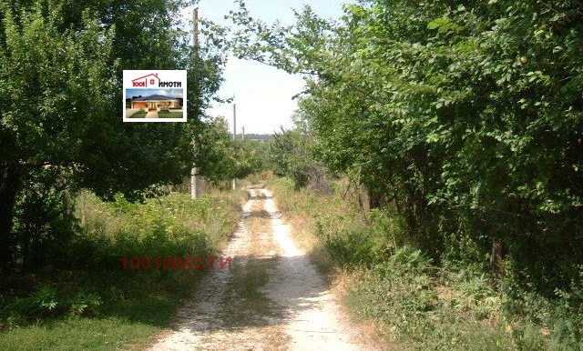 На продаж  Сюжет область Добрич , Бдинци , 3000 кв.м | 99702433 - зображення [10]