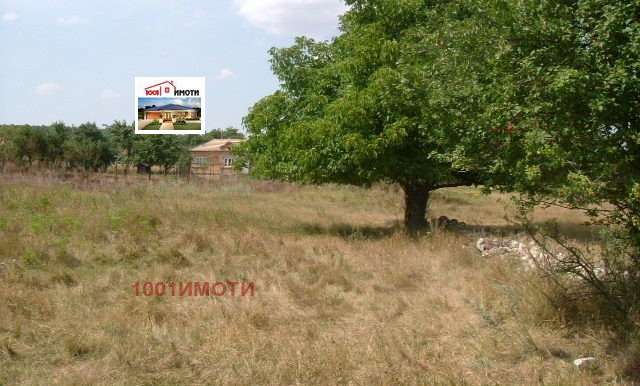 На продаж  Сюжет область Добрич , Бдинци , 3000 кв.м | 99702433 - зображення [3]