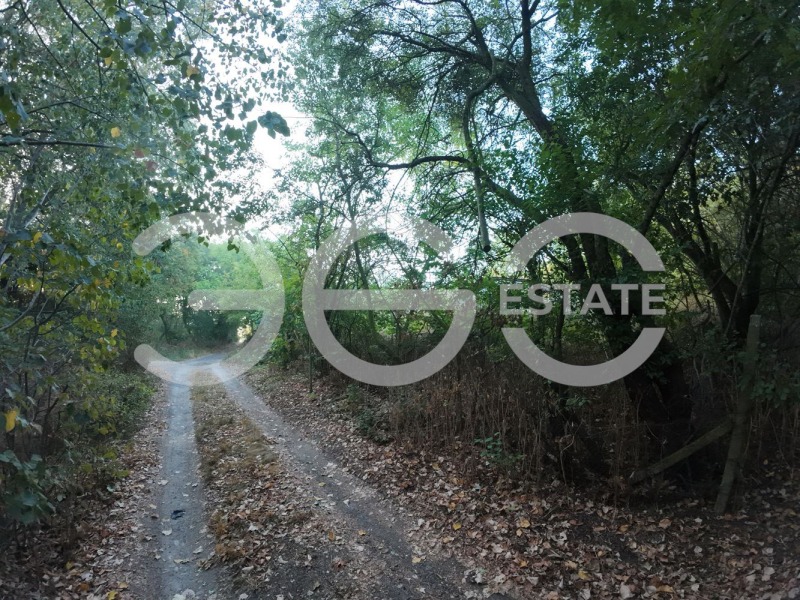 For Sale  Plot Varna , v.z.Zvezditsa , 4300 sq.m | 20494352 - image [7]