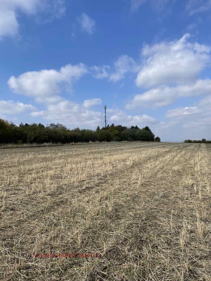 Til salgs  Land region Sofia , Dragovishtitsa , 22 dka | 40682841 - bilde [5]