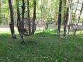 Продава 1-СТАЕН, област Бургас, гр. Приморско • 59000 € / 115393.97 лв. • 76930399 9