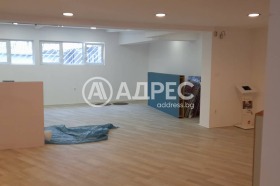 Офис град София, Белите брези