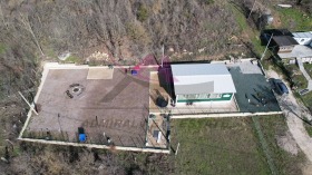 ����� ������� ����,���� �����, �-� �������