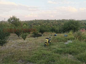 ����� ������� ����,���� ����, �.�. ��������