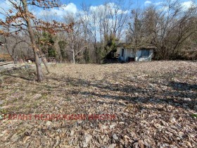 ����� ������� ������,�. ��������, ������ �������