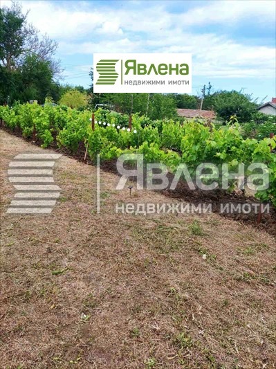 Продава КЪЩА, гр. Шабла, област Добрич, снимка 5 - Къщи - 49473282