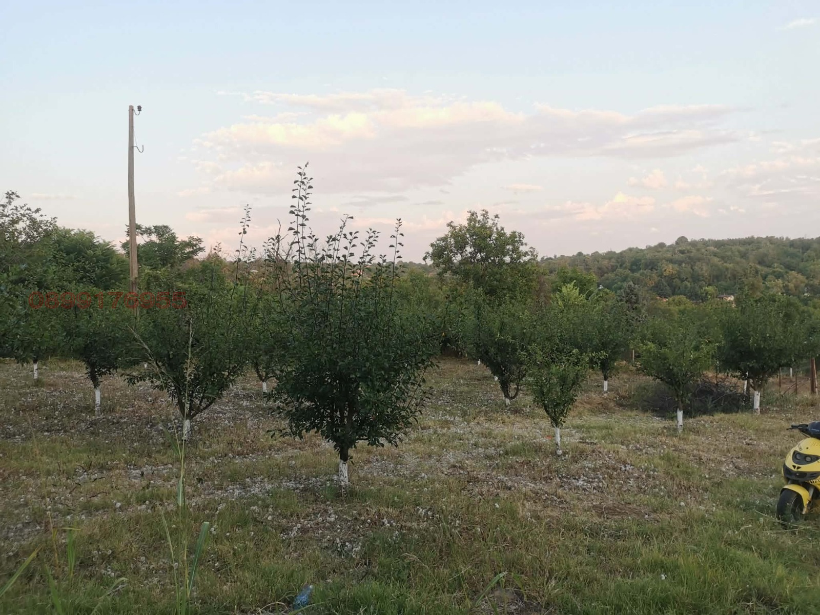 Продава КЪЩА, гр. Русе, в.з. Русофили, снимка 4 - Къщи - 54227529