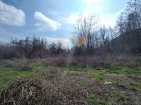 ����� ������� ������,��. �������, ������ ������