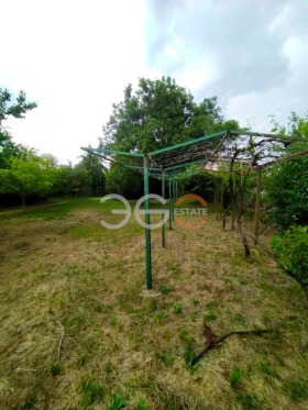 ������ ������� ������