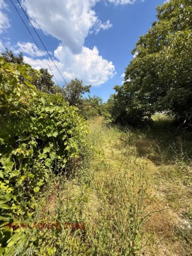 ������� ������ | Imot.bg � ����� ������ 2
