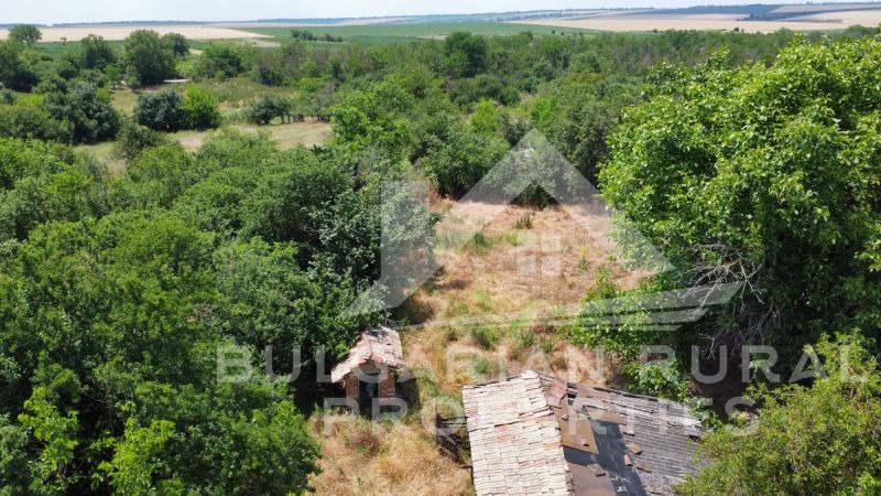 Продава  Къща област Добрич , с. Нова Камена , 128 кв.м | 88910510 - изображение [11]