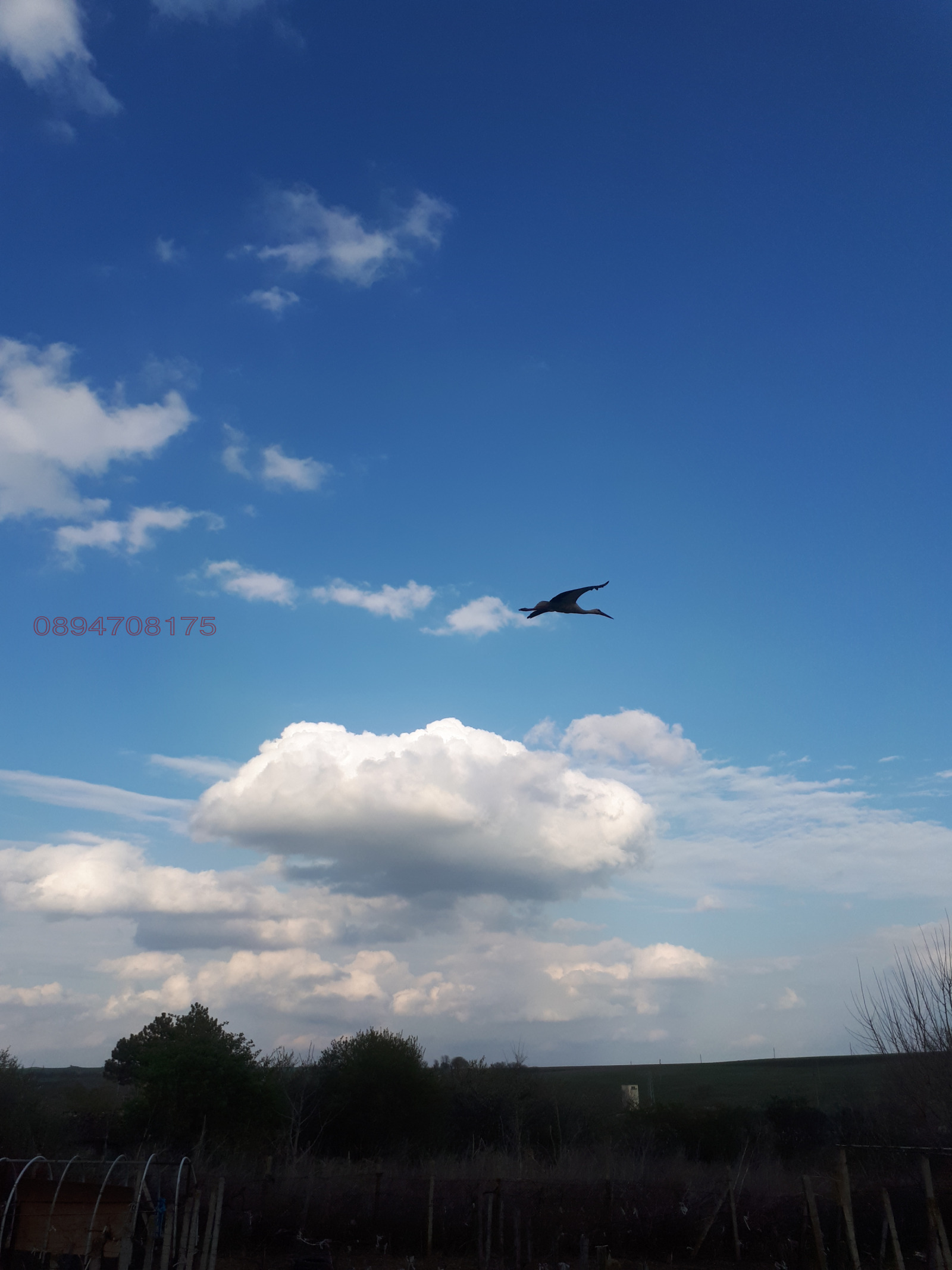 ������� ������ | Imot.bg � ����������� 1