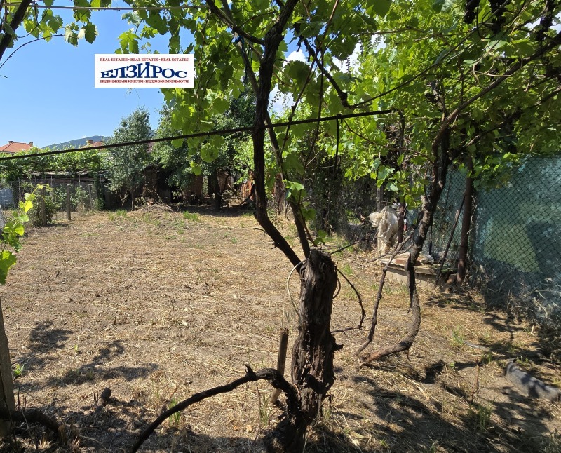 Til salg  Hus region Kyustendil , Slokoshtitsa , 120 kvm | 63011345 - billede [10]