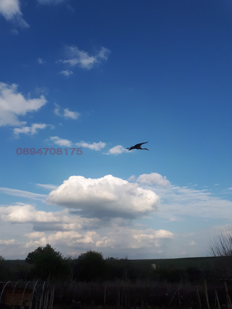 Продава ПАРЦЕЛ, с. Богдан, област Добрич