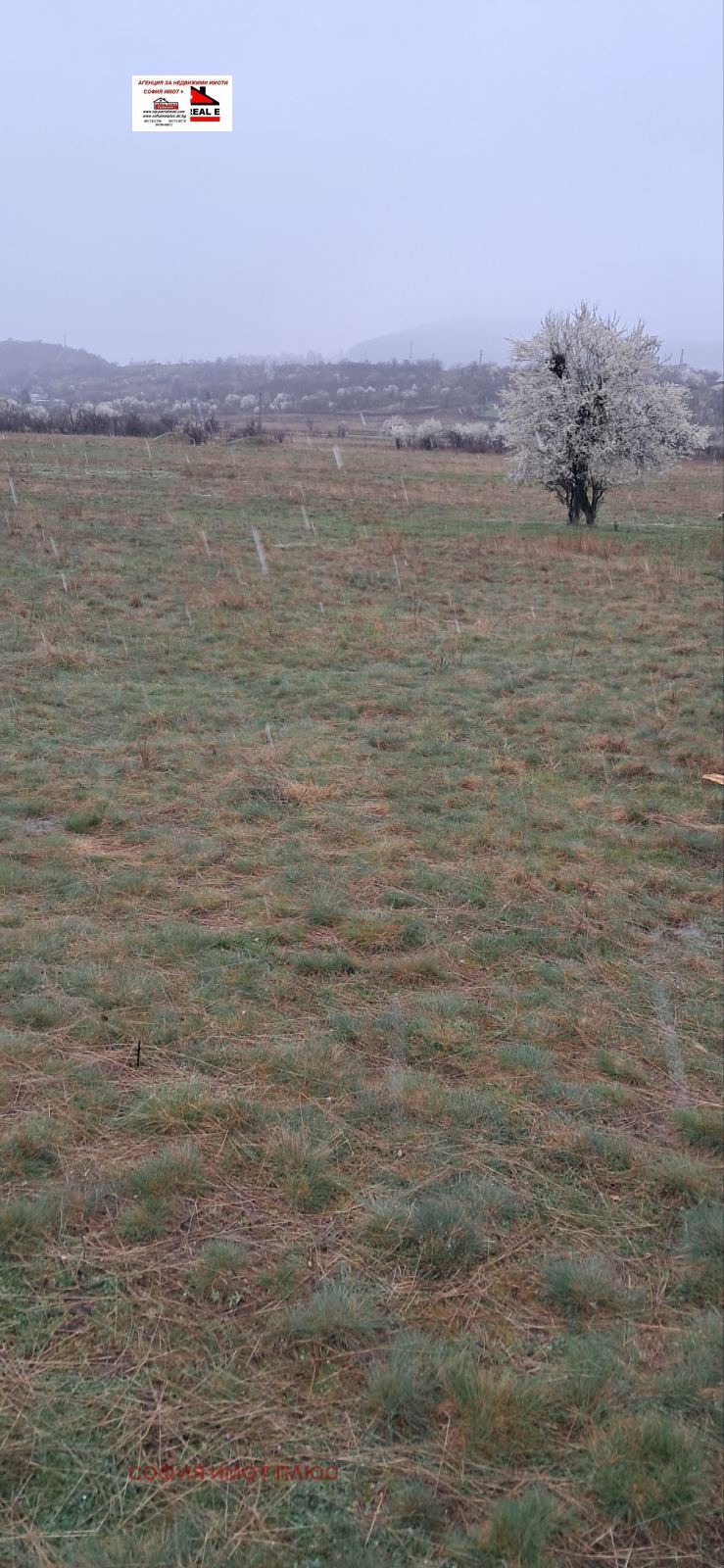 ������� ���������� ���� | Imot.bg � ����������� 4