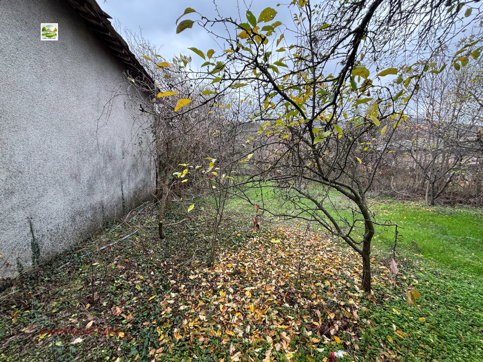 ������� ���� | Imot.bg � ����������� 5