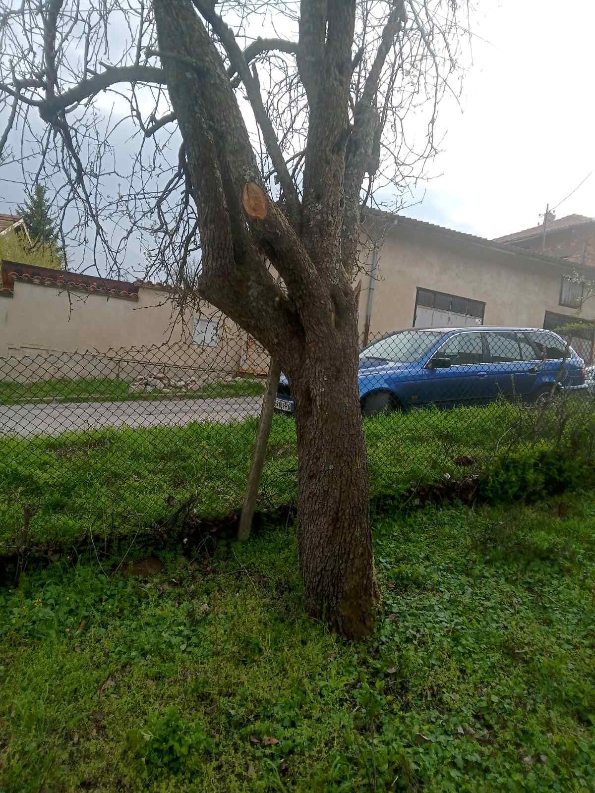 ������� ������ | Imot.bg � ����������� 8