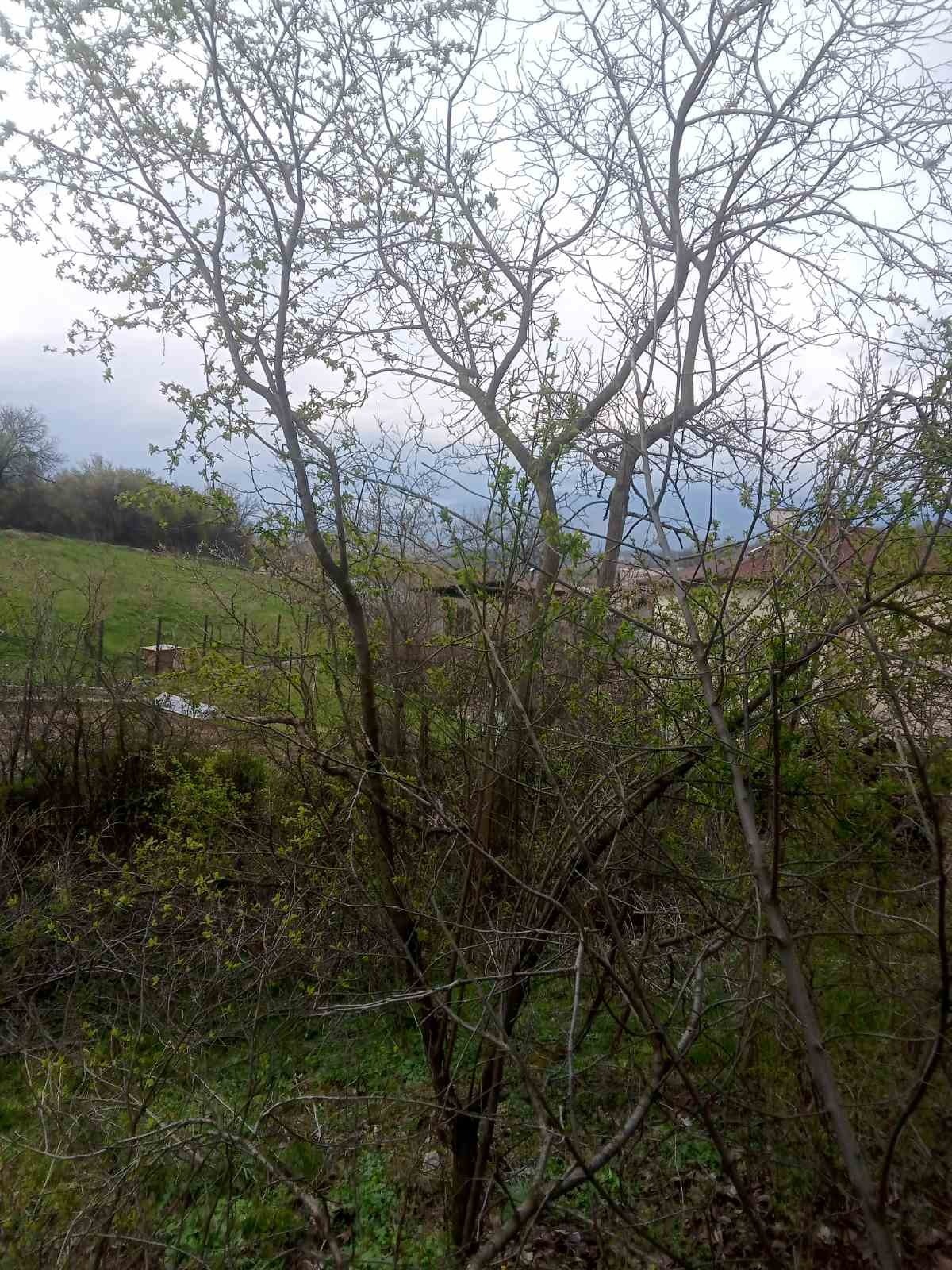 ������� ������ | Imot.bg � ����������� 5