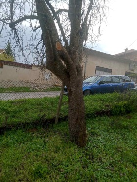 ������� ������ | Imot.bg � ����� ������ 8