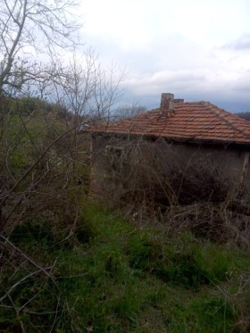 ������� ������ | Imot.bg � ����� ������ 11