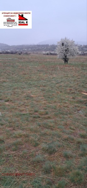 ����� ������� ���������� ����,�. ���������, ������ ���������