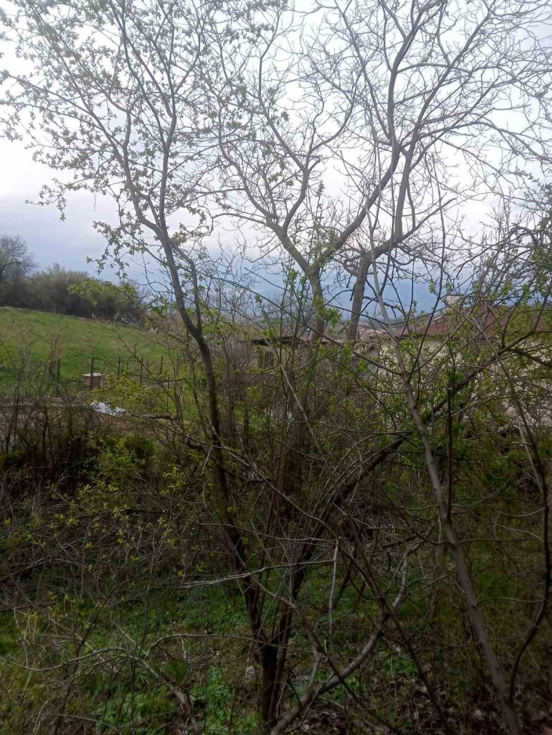 Продава ПАРЦЕЛ, с. Кралев дол, област Перник, снимка 4 - Парцели - 52718426