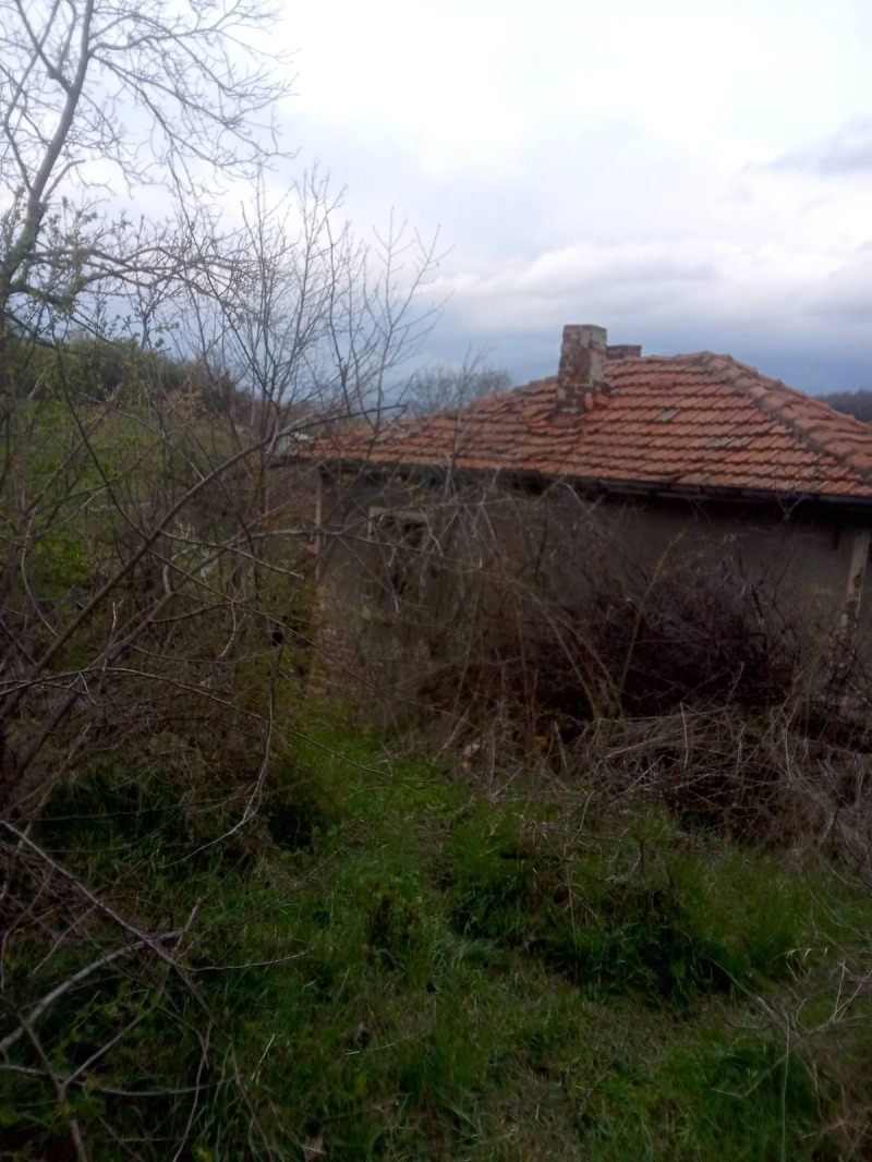 Продава ПАРЦЕЛ, с. Кралев дол, област Перник, снимка 10 - Парцели - 52718426