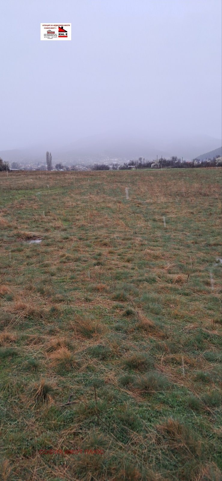 Продава ЗЕМЕДЕЛСКА ЗЕМЯ, с. Слокощица, област Кюстендил, снимка 2 - Земеделска земя - 54063636