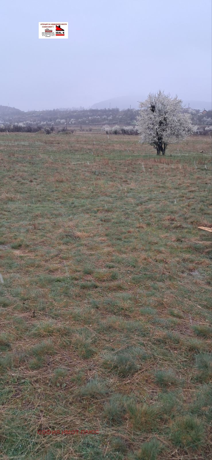 Продава ЗЕМЕДЕЛСКА ЗЕМЯ, с. Слокощица, област Кюстендил