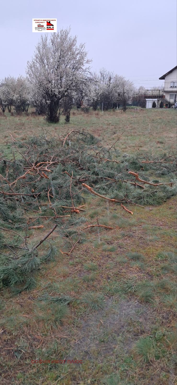 Продава ЗЕМЕДЕЛСКА ЗЕМЯ, с. Слокощица, област Кюстендил, снимка 4 - Земеделска земя - 54063636