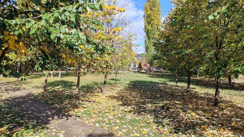 Продава МНОГОСТАЕН, гр. София, Център, снимка 7 - Апартаменти - 54046389