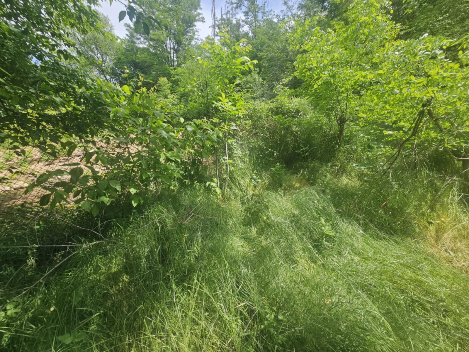 Продава ПАРЦЕЛ, гр. Кърджали, Прилепци, снимка 2 - Парцели - 50454804