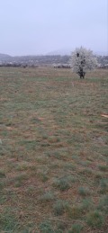 Продава ЗЕМЕДЕЛСКА ЗЕМЯ, с. Слокощица, област Кюстендил, снимка 1