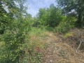 Продава ПАРЦЕЛ, град Кърджали, Прилепци • 21920 € • 86415285 — Holmes.bg