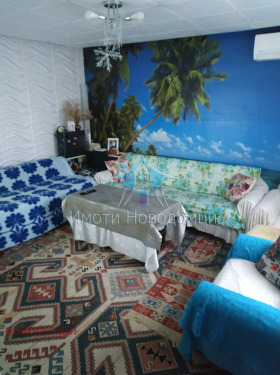 ����� ������� ����,���� �����, ������