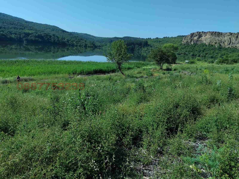 Продава ЗЕМЕДЕЛСКА ЗЕМЯ, с. Калище, област Перник, снимка 5 - Земеделска земя - 52783480