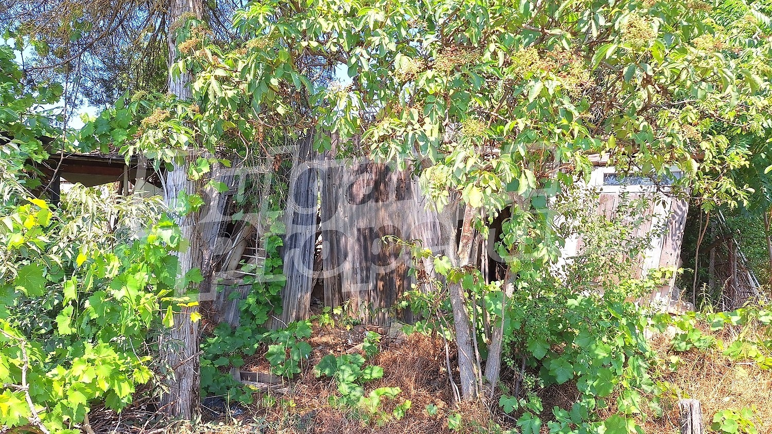 ������� ���� | Imot.bg � ����������� 12