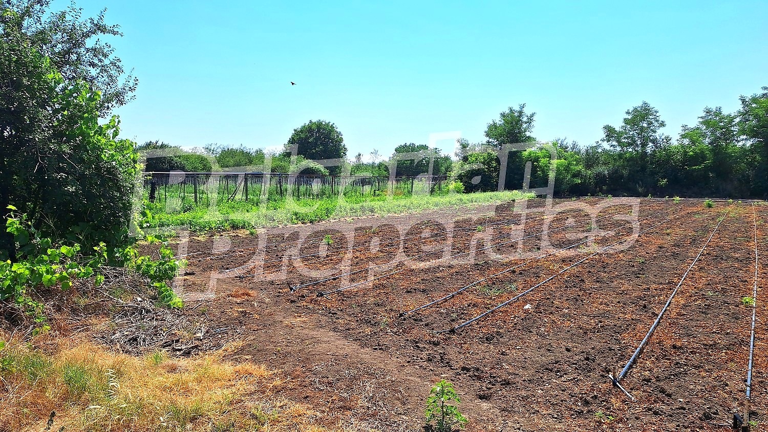 ������� ���� | Imot.bg � ����������� 5