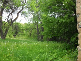 Hus Sjilentsi, region Kyustendil 8