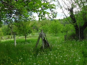 Dům Žilenci, oblast Kyustendil 6