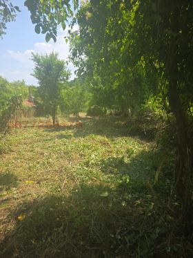 ������� ������ | Imot.bg � ����� ������ 5