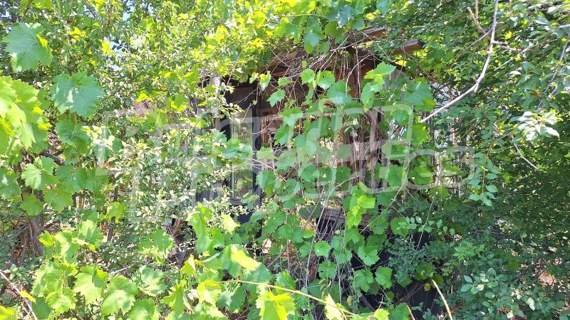 Продава КЪЩА, с. Караманите, област Варна, снимка 10 - Къщи - 53172534