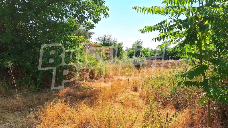 Продава КЪЩА, с. Караманите, област Варна, снимка 7 - Къщи - 53172534